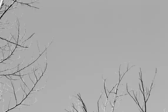 PocketWin Casino Suporte